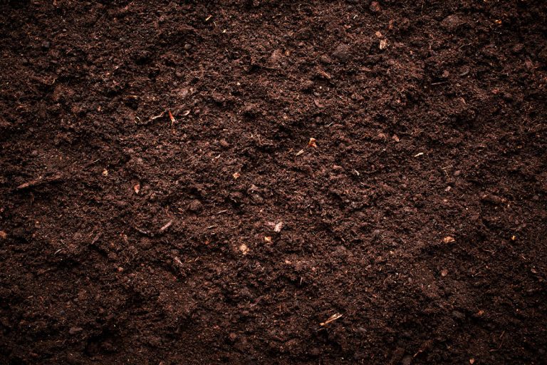 Soil texture, Vinegar In Soil: How Long Does It Last?