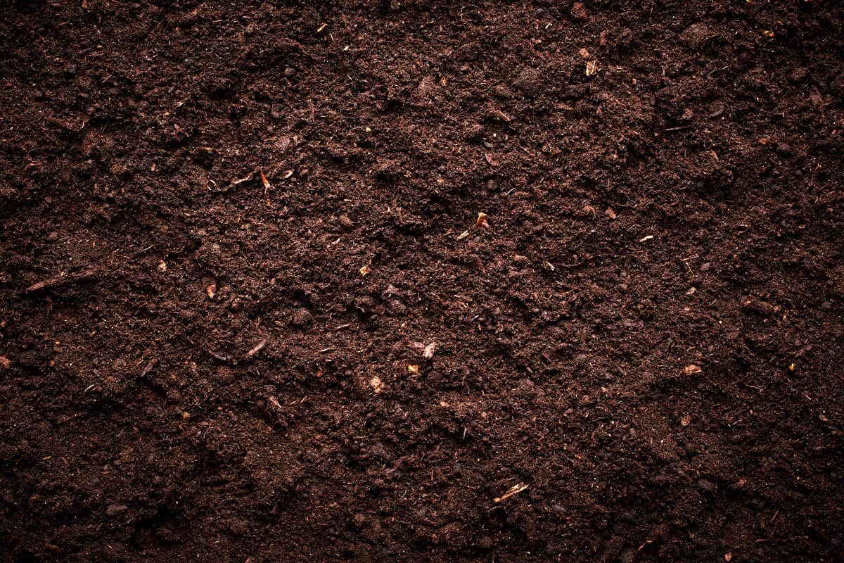 Soil texture
