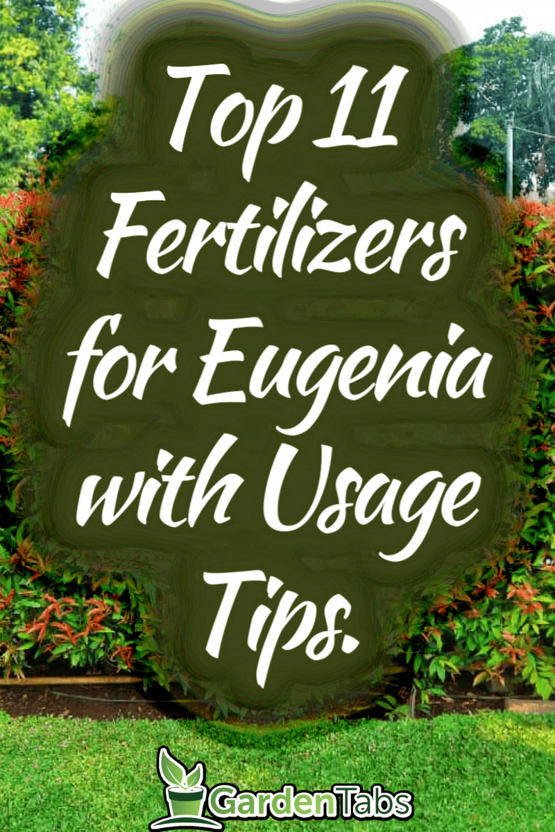 11 Best Fertilizers For Eugenia - And How To Use Them