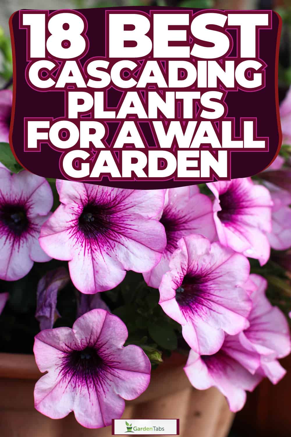 18 Best Cascading Plants For A Wall Garden - 1600X900