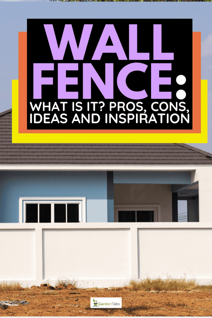 Wall Fence: What Is It? Pros, Cons, Ideas And Inspiration