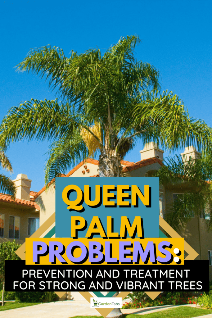 Queen Palm Problems: Prevention And Treatment For Strong And Vibrant Trees