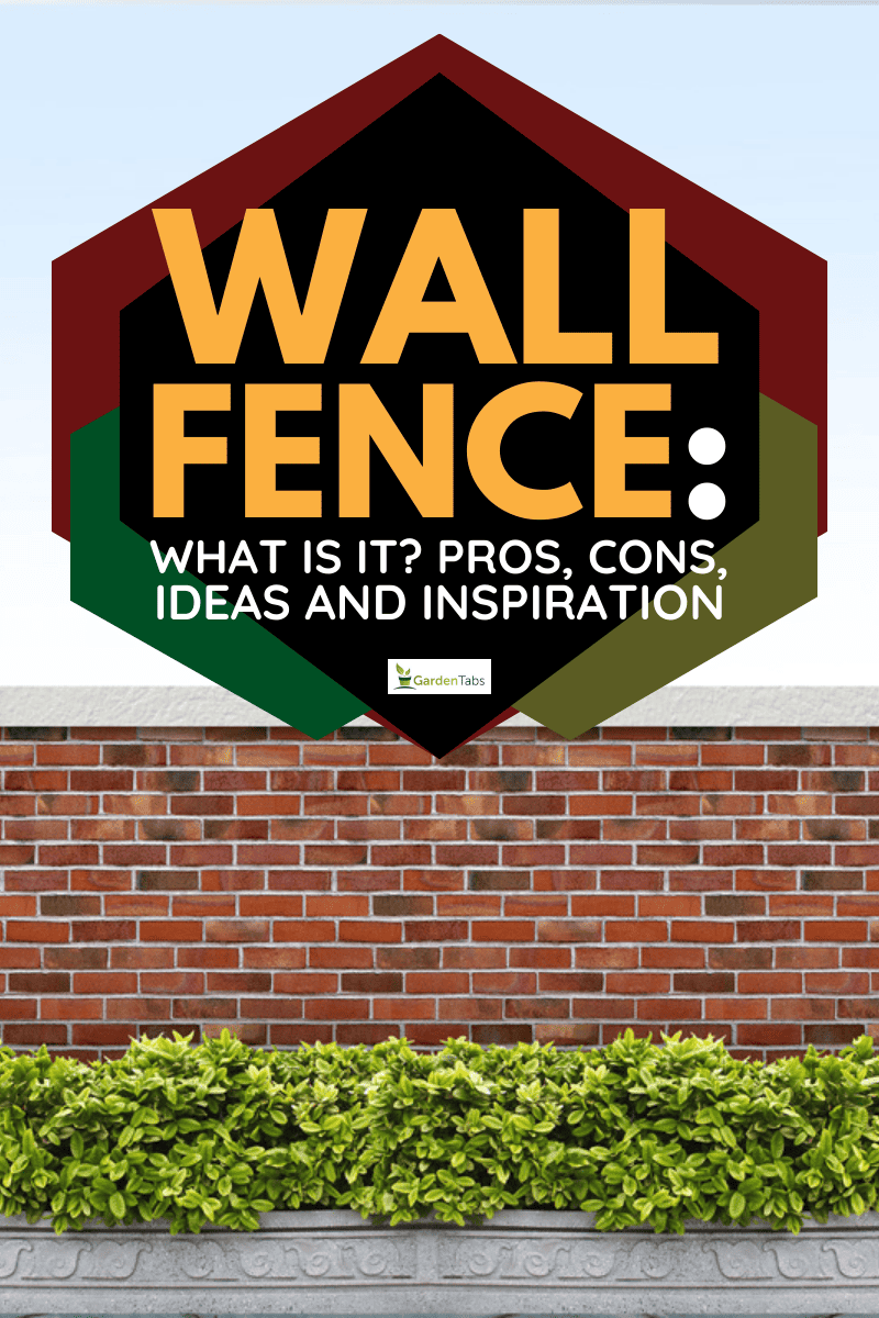 Wall Fence: What Is It? Pros, Cons, Ideas And Inspiration