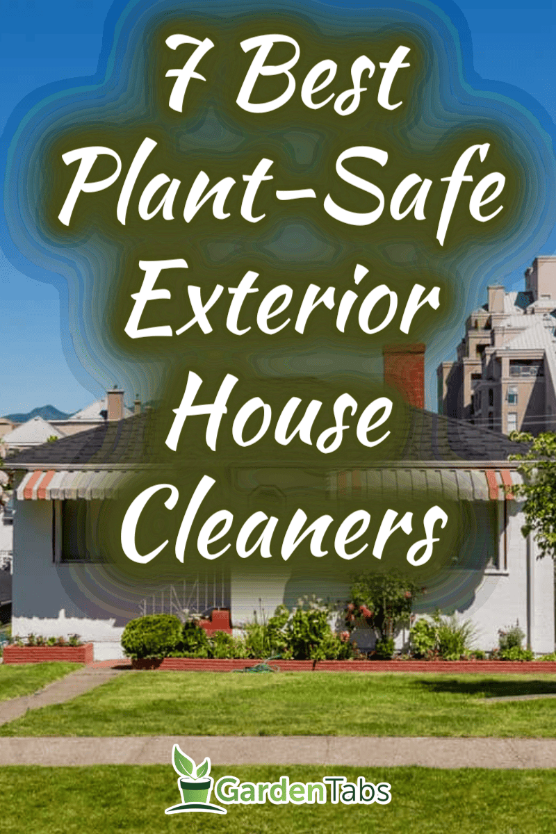 7 Best Plant-Safe Exterior House Cleaners