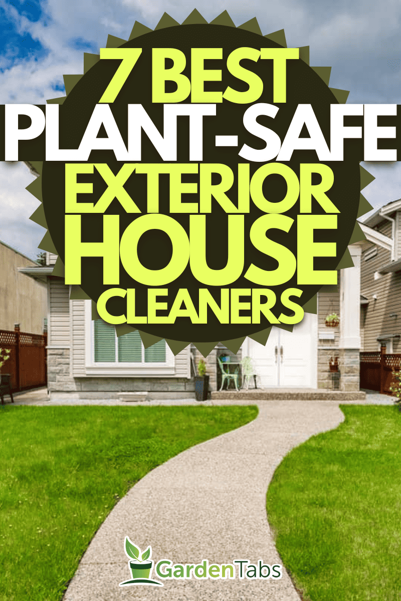 7 Best Plant-Safe Exterior House Cleaners