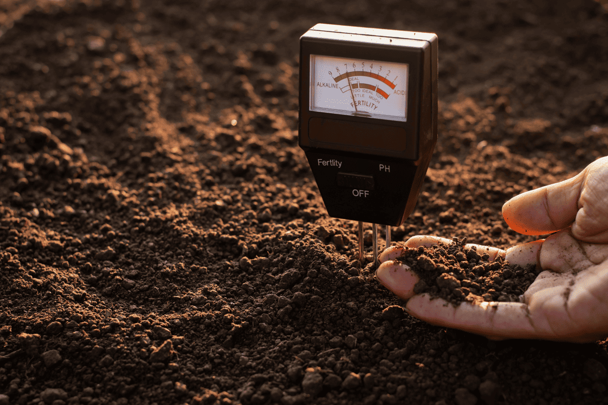 A soil meter and a farmer's hands are picking up soil for planting