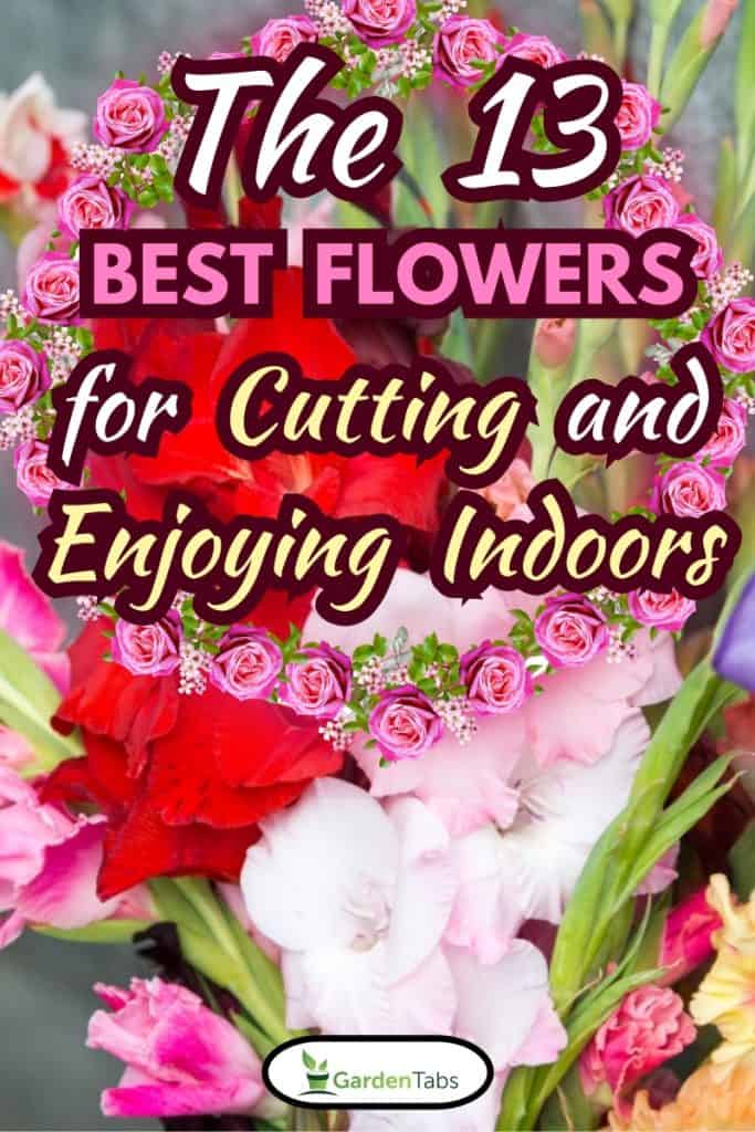Bouquet with colorful gladiolus, The 13 Best Flowers for Cutting and Enjoying Indoors