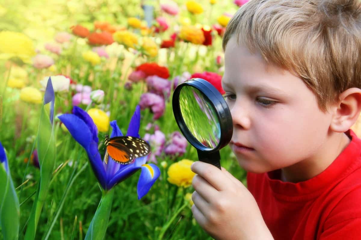 Child observing nature