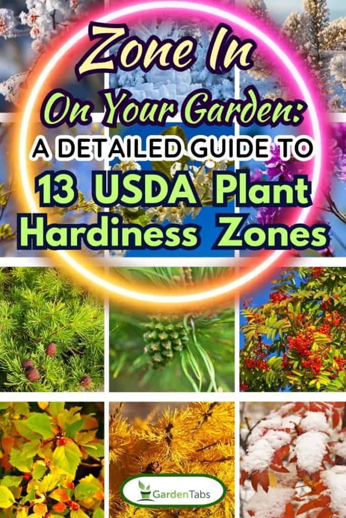 Collage. Twelve months. Trees in different seasons. Calendar. Colorful floral backgrounds, Zone In On Your Garden: A Detailed Guide to 13 USDA Plant Hardiness Zones