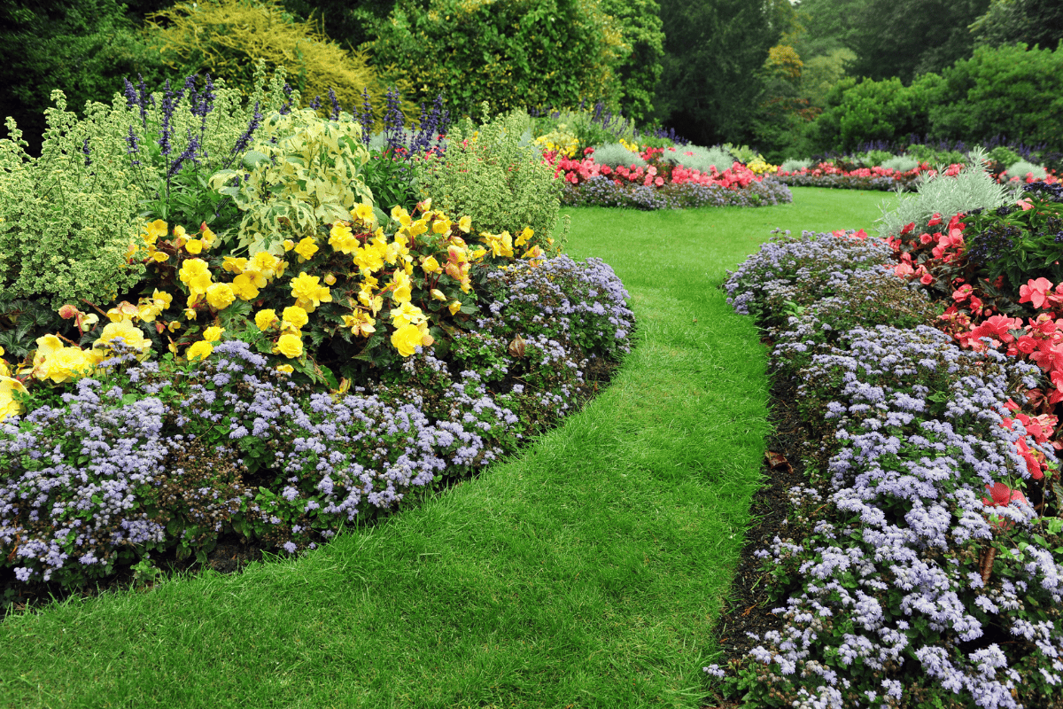 Colorful flowerbeds and winding grass pathway in an attractive formal garden
