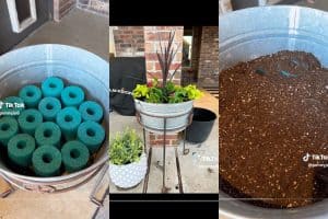 Screenshots of pool noodles cut up in garden container to save space for dirt