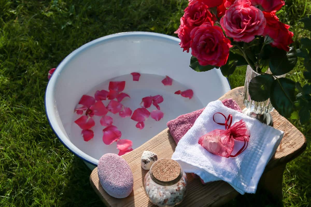 Foot bath in bowl with rose petals and rosensalz, softening floral soft in summery garden.