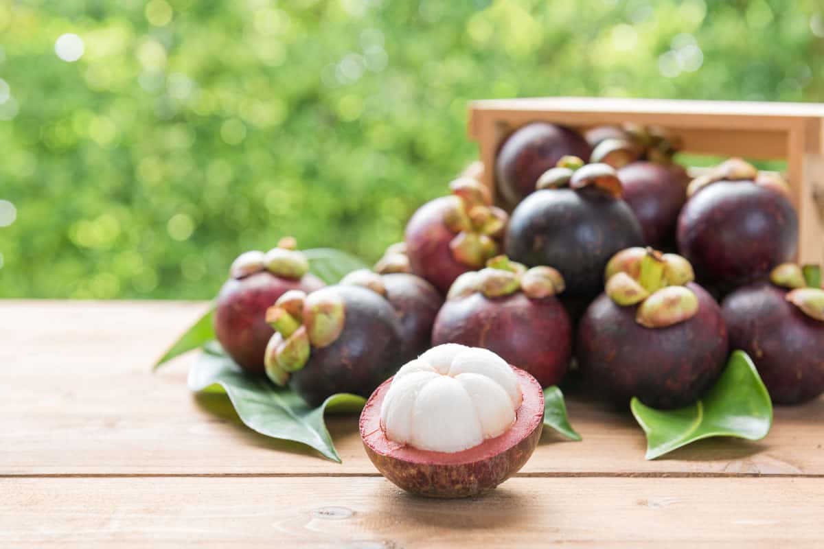 Fresh harvested mangosteen on a table