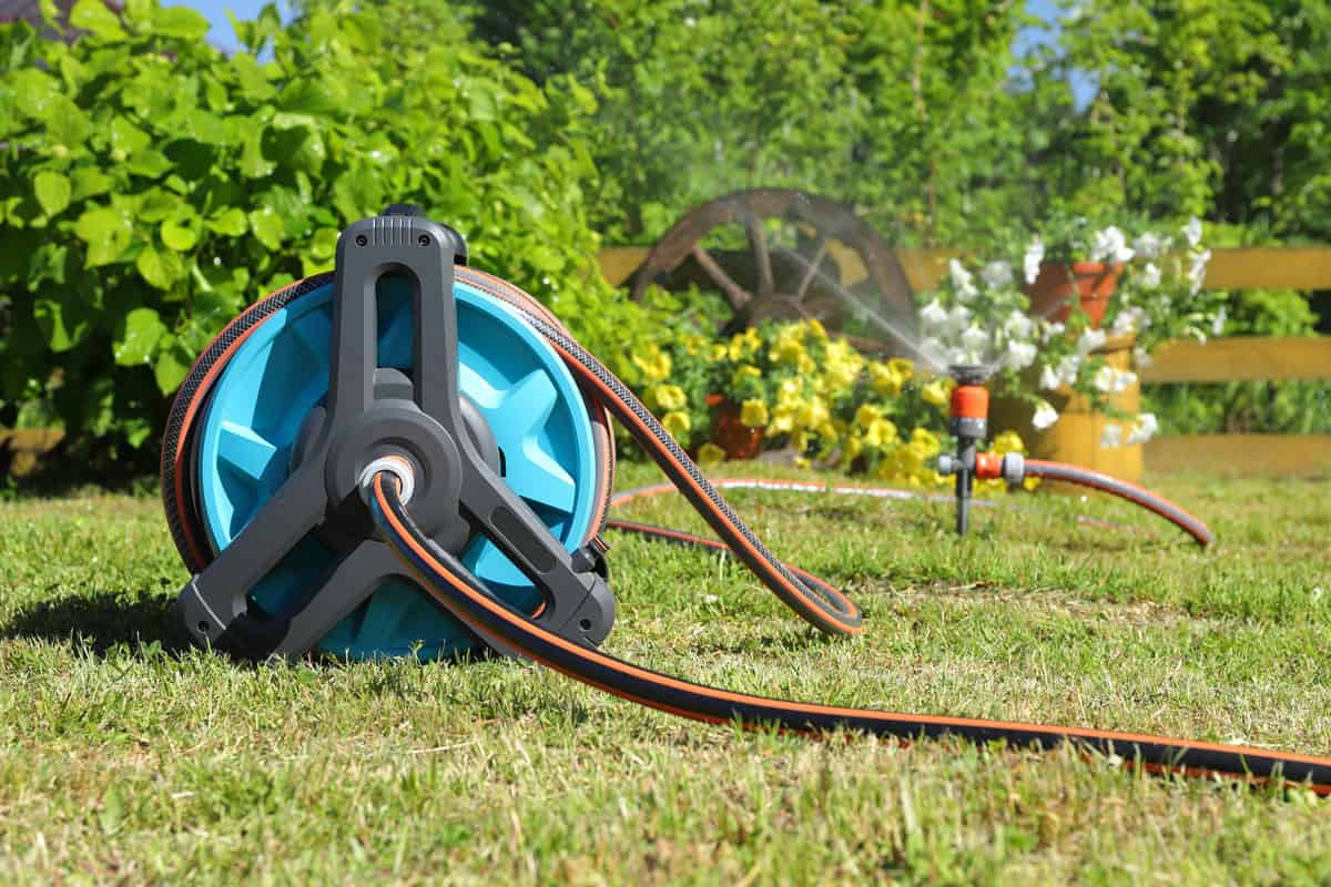 Garden hose reel and sprinkler for watering plants and flowers are on a green lawn bathed in sunlight.