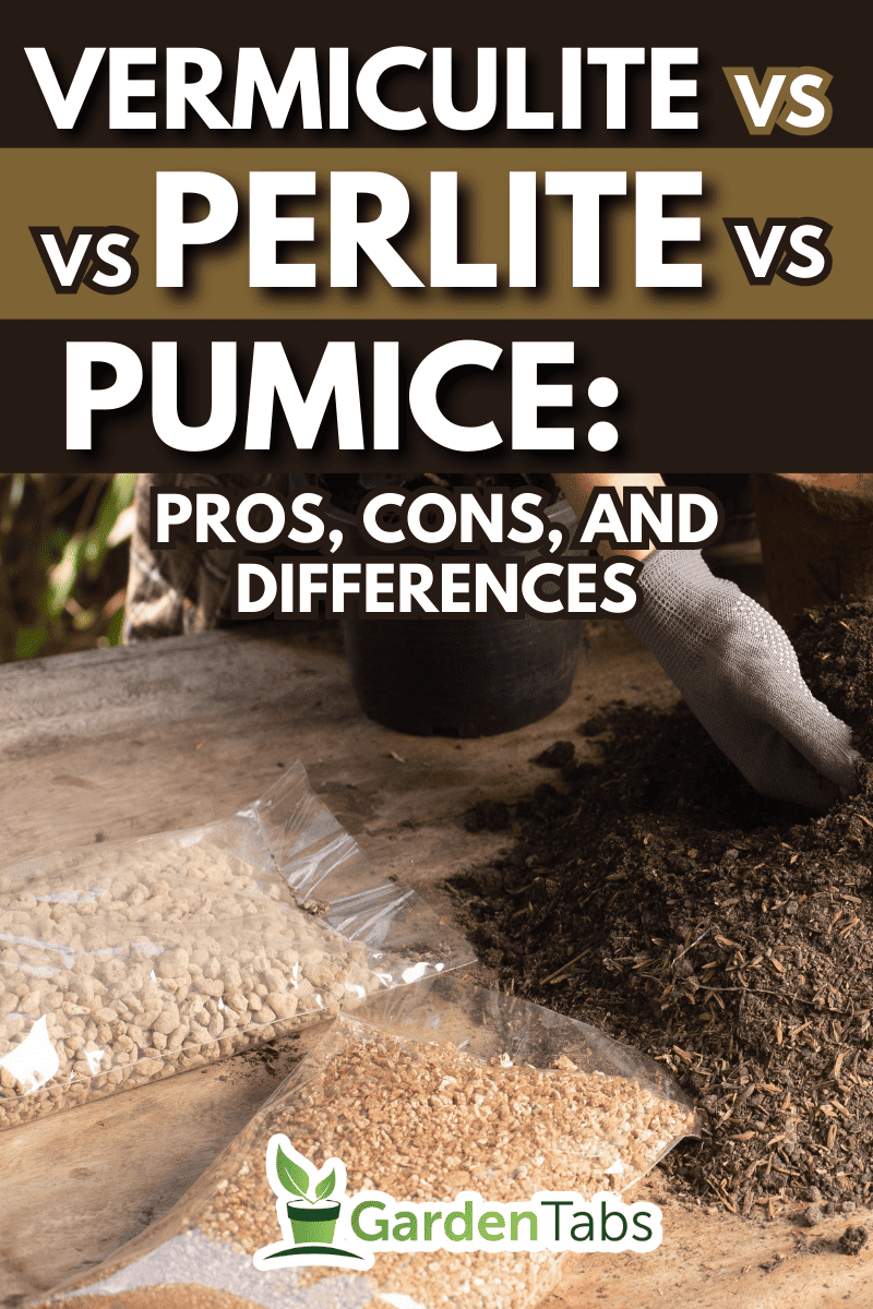 Gardening concept. A young woman mixes potting soil, prepares the soil for planting vegetables and herbs in the house, mixes potting soil, perlite, vermiculite, peat, worm, coconut flakes, rice husk. - Vermiculite Vs Perlite Vs Pumice: Pros, Cons, And Differences