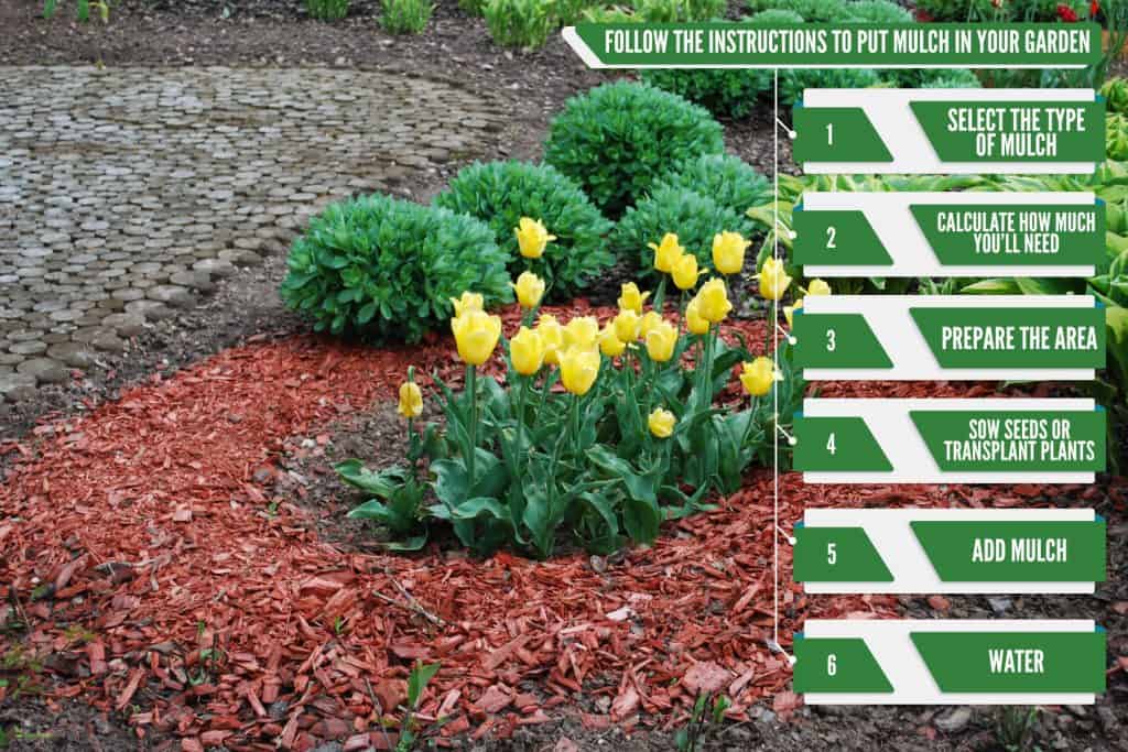 Instructions on how to put mulch in your garden