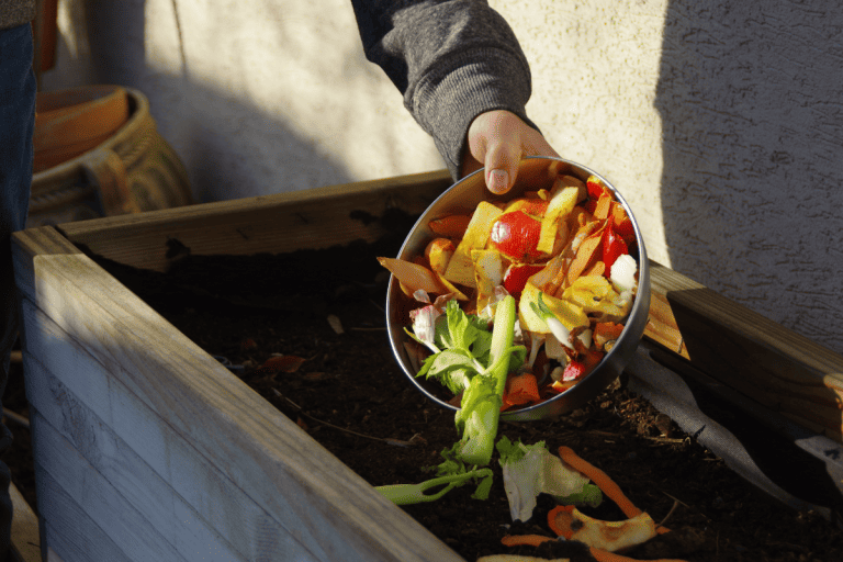 Kitchen waste recycling in backyard composter, Waste into Wealth: 25 Reasons to Start Composting Now