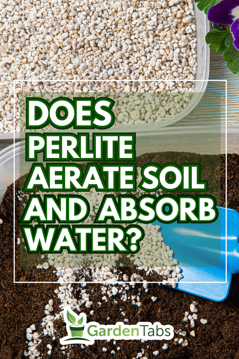 Mixing perlite granules pellets with black gardening soil improves water retention, airflow, aeration, root growth capacity of all the plants growing in pots. 