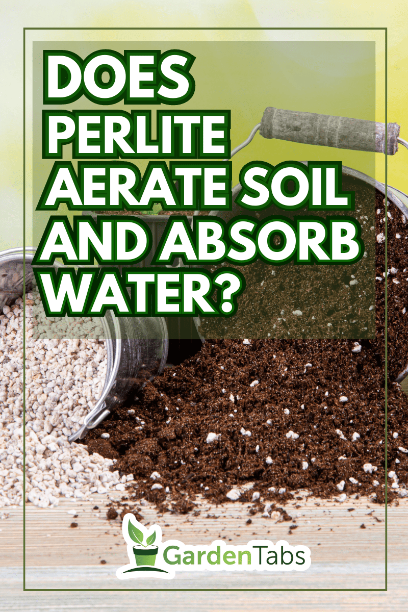 Mixing perlite granules pellets with black gardening soil improves water retention, airflow, aeration, root growth capacity of all the plants growing in pots. Perlite is an amorphous volcanic glass. - Does Perlite Aerate Soil And Absorb Water?