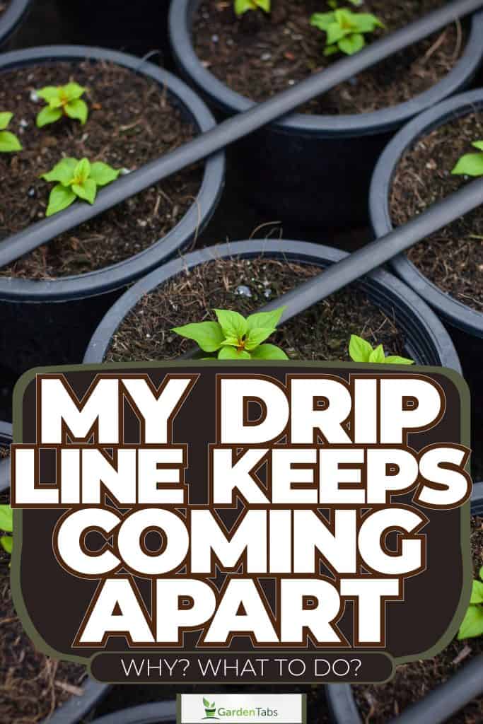 A DIY drip irrigation system, My Drip Line Keeps Coming Apart - Why? What To Do?