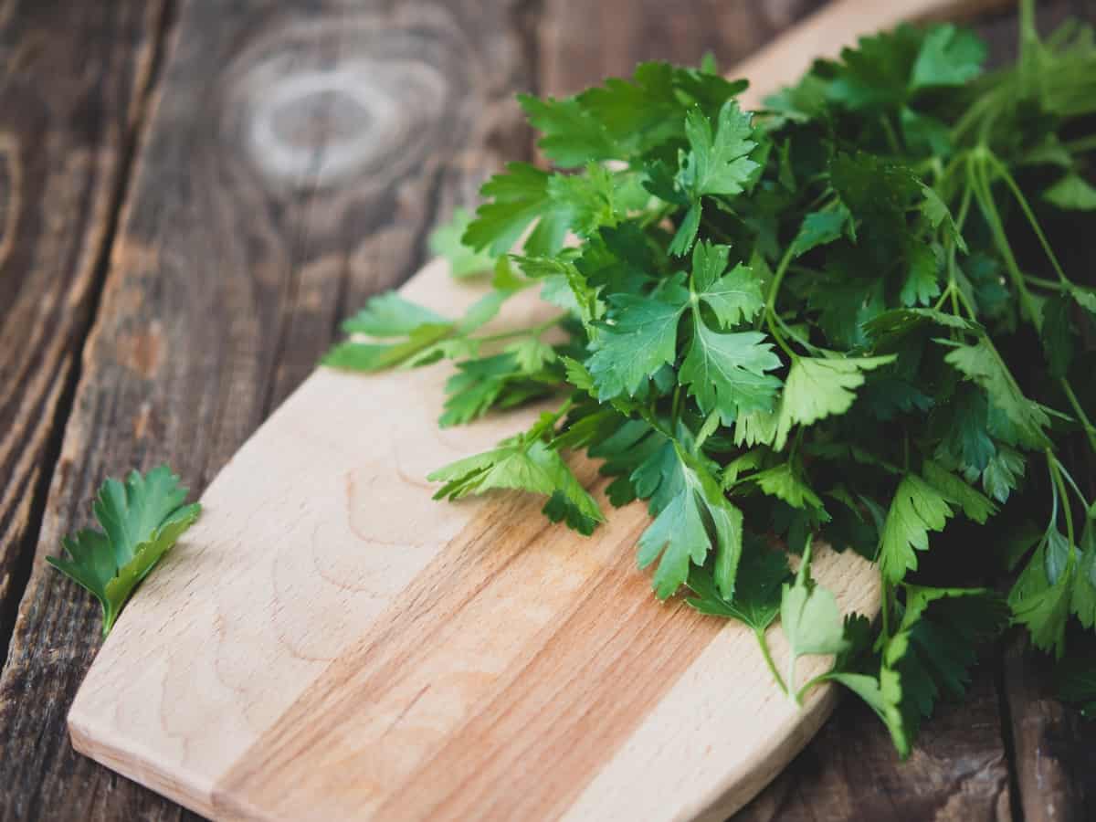 On a wooden board next to dill and parsley are capsules with a plant composition, the concept of natural additives