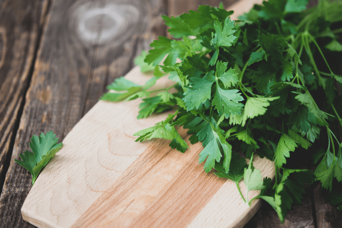 Parsley on a wooden board