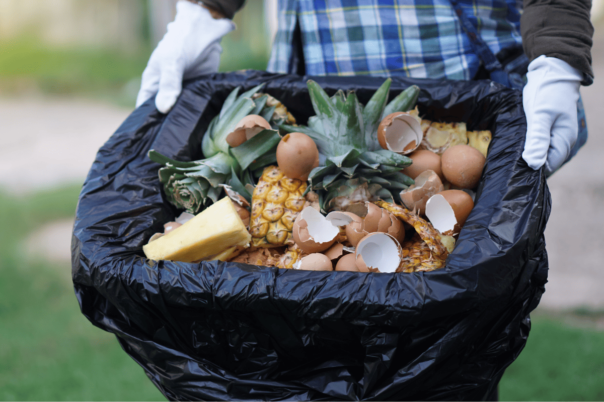 Rotting kitchen scraps with fruits and vegetable garbage waste in black plastic bag to make compost fertilizer