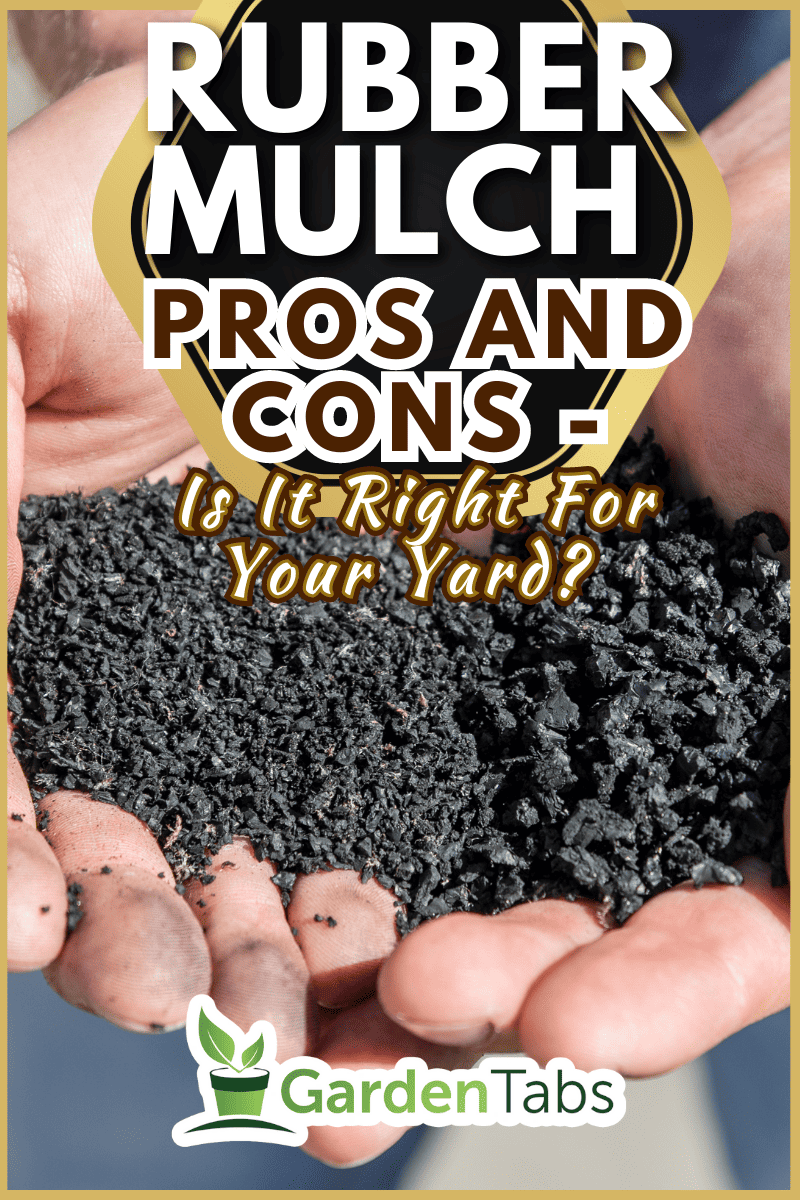 Rubber crumb in the hands of man. - Rubber Mulch Pros And Cons - Is It Right For Your Yard?