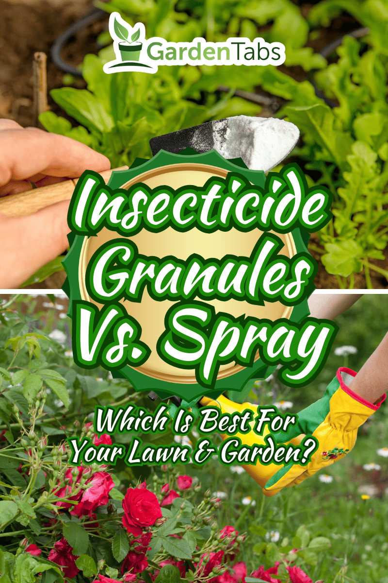 Selective focus on person hand holding gardening trowel spade with pile of baking soda, blurred salad plants. Using baking soda, sodium bicarbonate in home garden and agricultural field concept. - Insecticide Granules Vs. Spray - Which Is Best For Your La