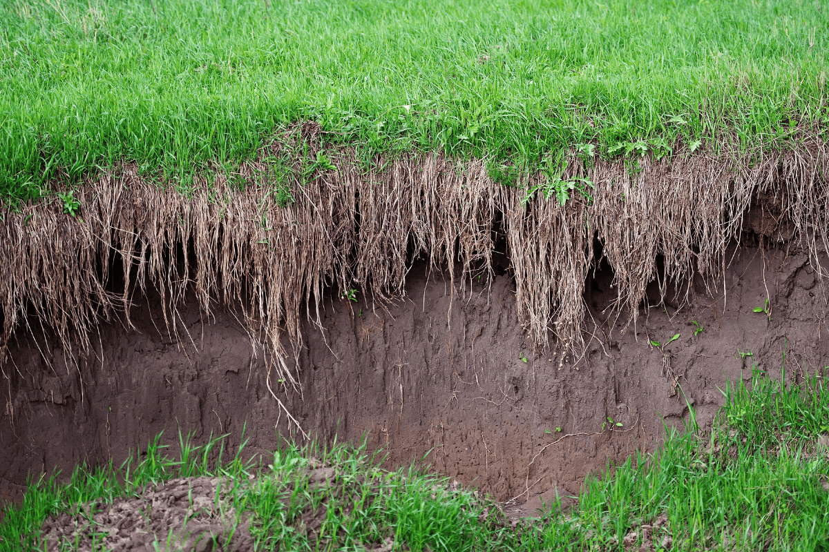 Soil erosion in the agricultural field