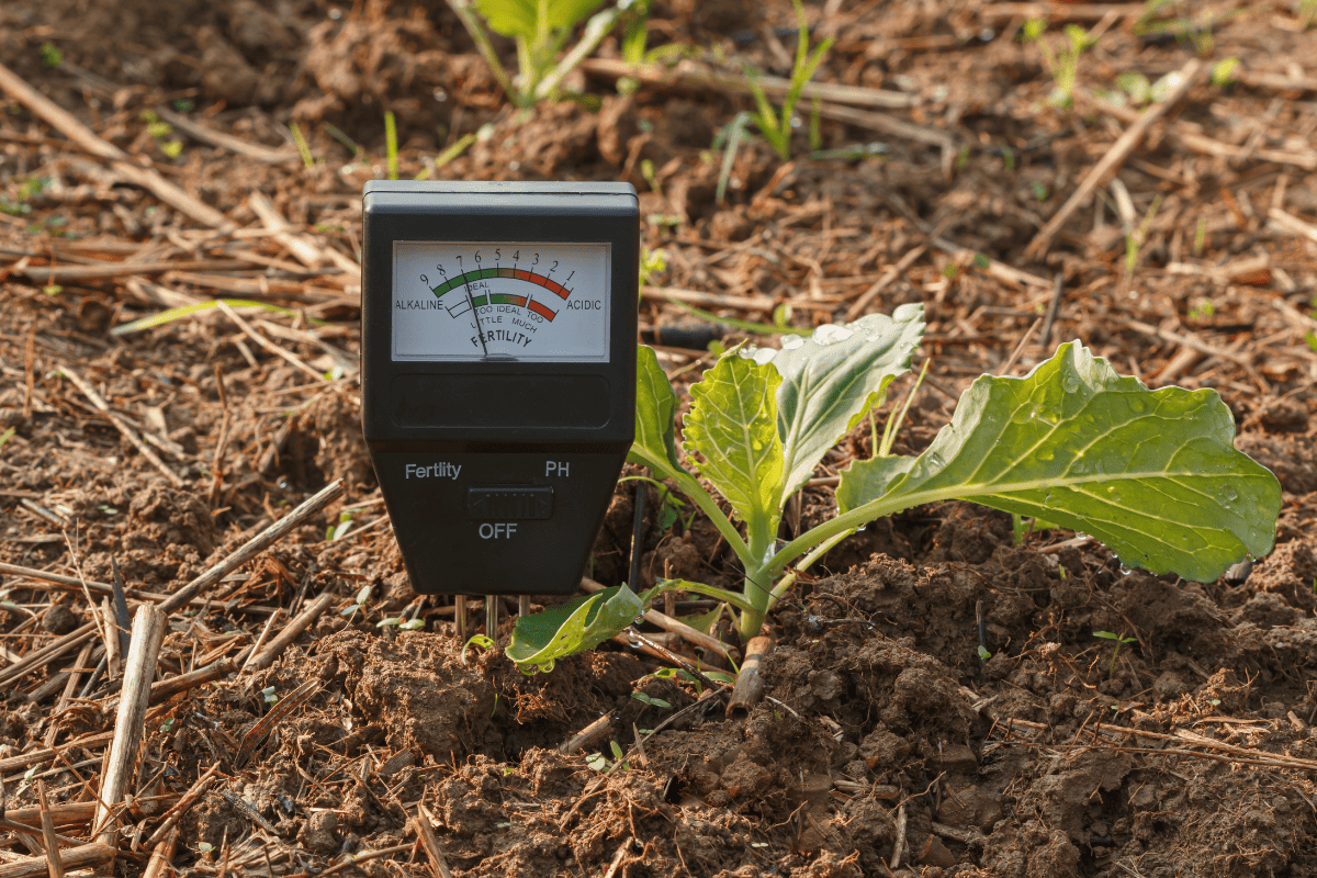 Soil meter for checking the pH in the soil
