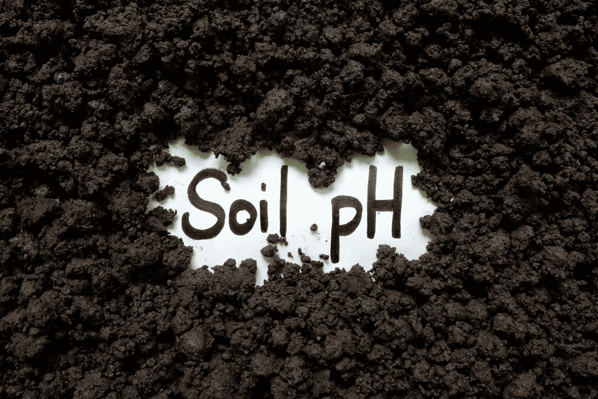 Soil pH agriculture concept
