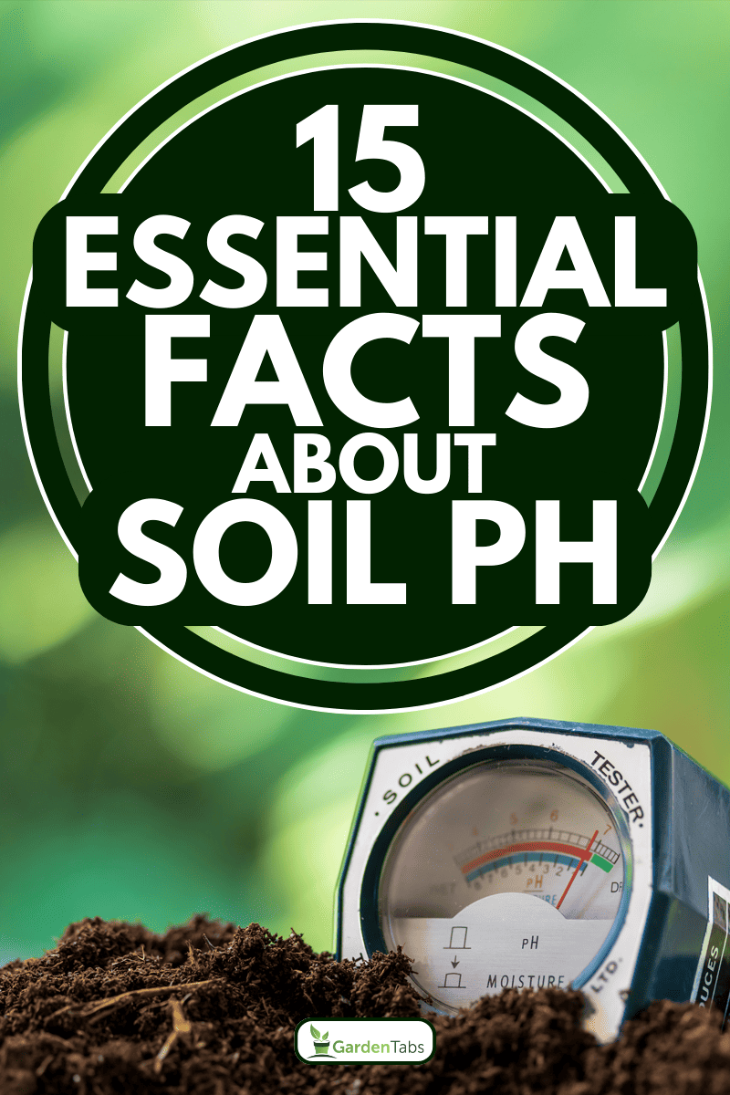 Soil pH meter close up, 15 Essential Facts About Soil pH: Unlock Your Garden's Full Potential