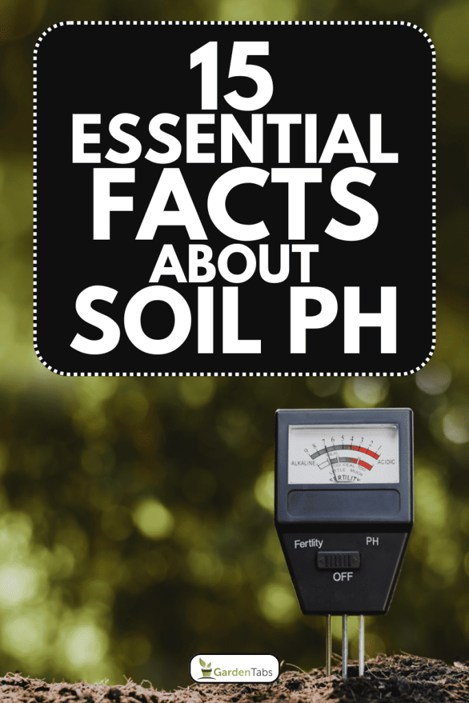 Soil pH meter for cultivation, 15 Essential Facts About Soil pH: Unlock Your Garden's Full Potential