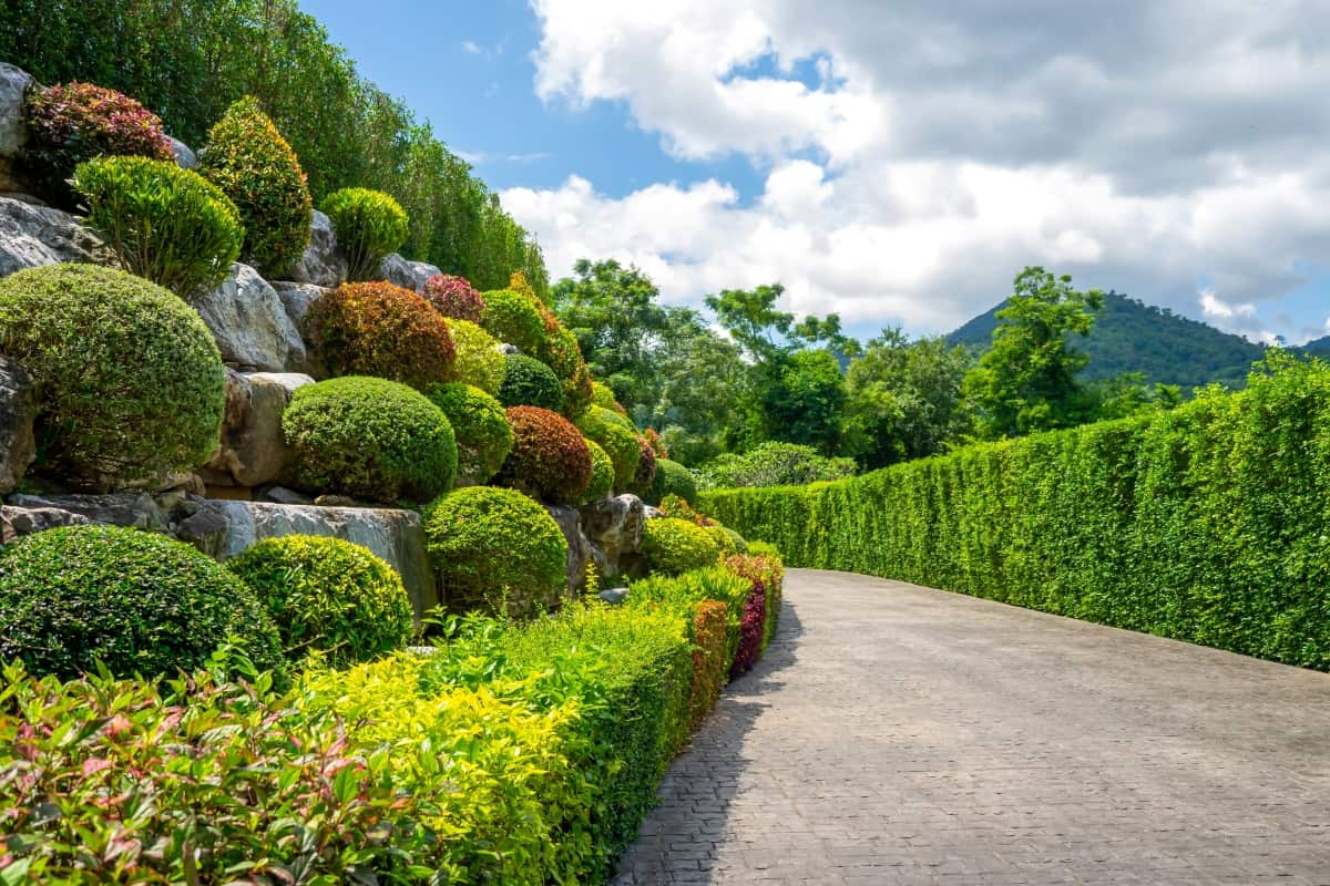 View of walkway in to a beautiful garden surrounded by the big rock and various plants at thailand., The 13 Best Plants for Edging Along a Sidewalk—A Comprehensive Guide to Beautifying Your Walkway