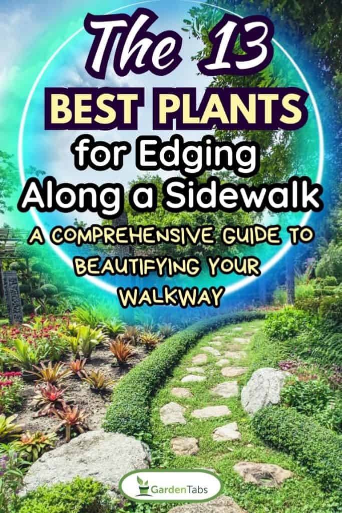 Walkway path, The 13 Best Plants for Edging Along a Sidewalk—A Comprehensive Guide to Beautifying Your Walkway