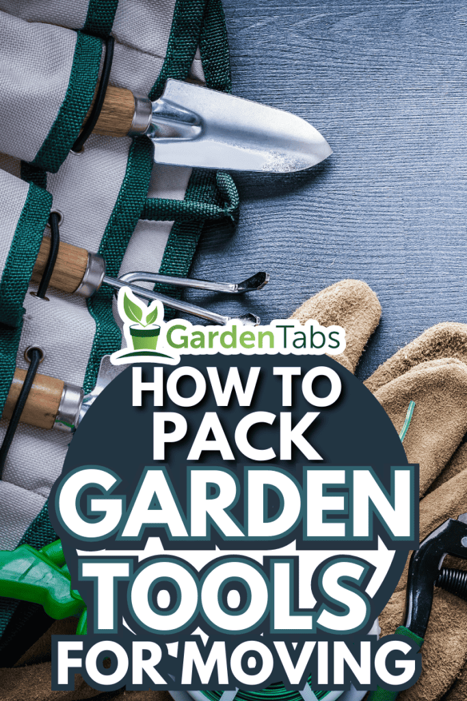 big composition of garden tools. - How To Pack Garden Tools For Moving