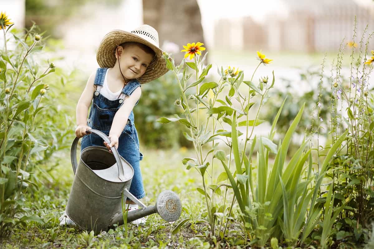 cute little boy watering flowers watering can