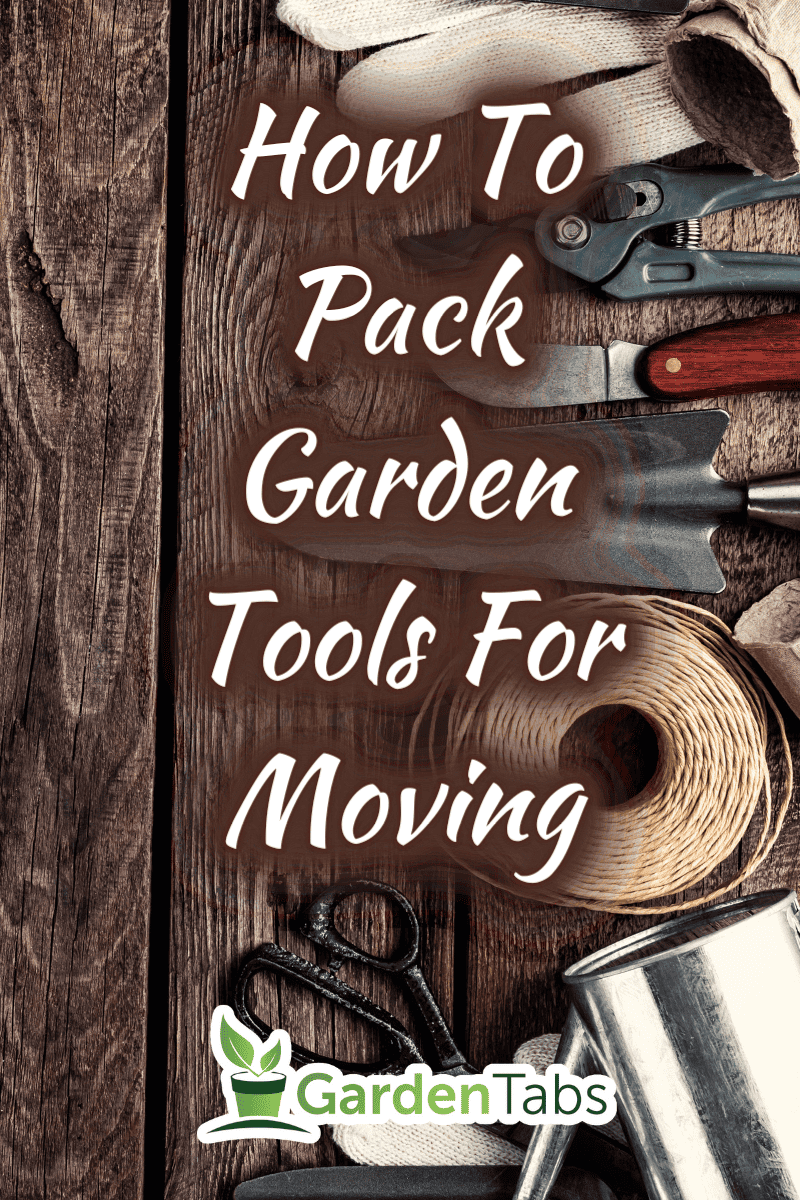 gardening tools on dark wooden background with space for text top view
