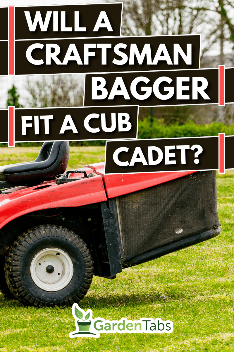 Grass-mower after mowing a garden in spring. - Will A Craftsman Bagger Fit A Cub Cadet?