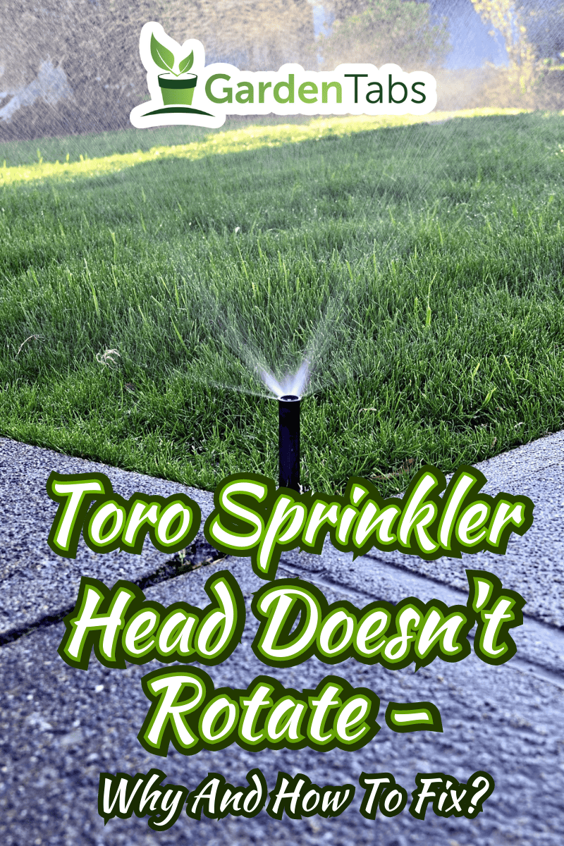 lawn irrigation with sprinkler head spraying water over lush green lawn grass area, corner view