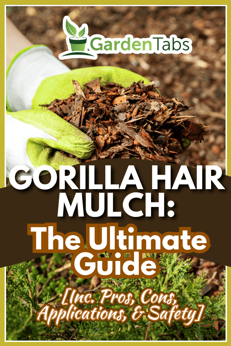 mulching garden conifer bed with pine tree bark mulch. - Gorilla Hair Mulch: The Ultimate Guide [Inc. Pros, Cons, Applications, & Safety]
