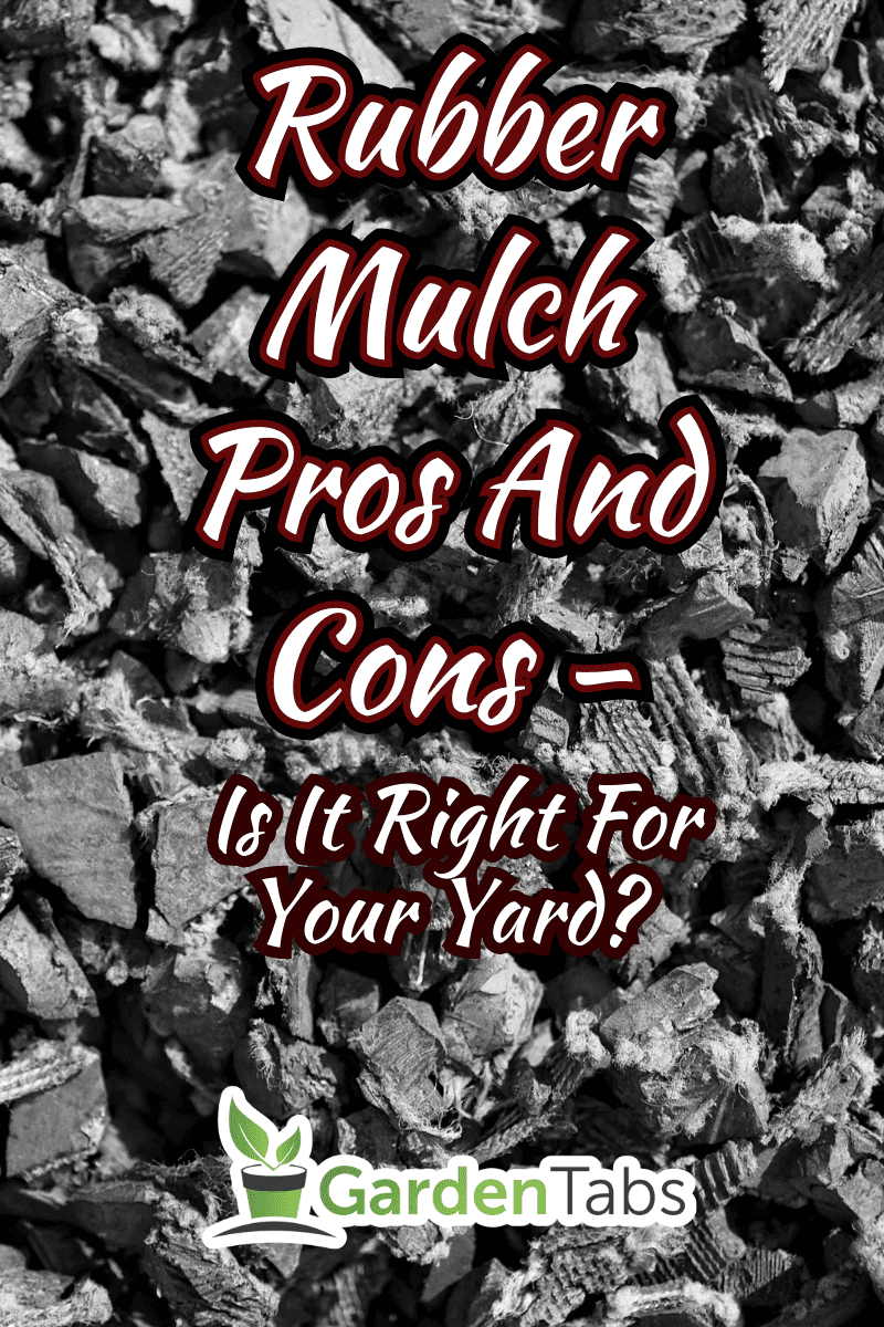 rubber mulch closeup. - Rubber Mulch Pros And Cons - Is It Right For Your Yard?