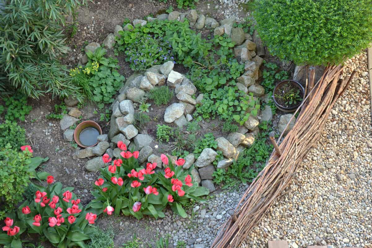 A small Herb Spiral garden located in the backyard garden