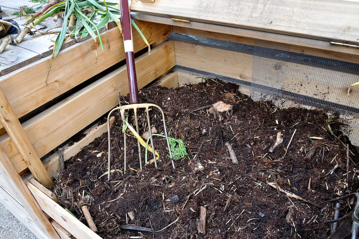 Collecting compost in the garden