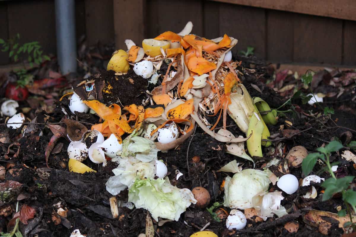 Composting kitchen vegetables waste