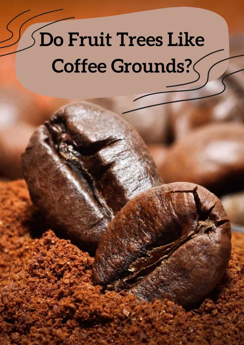 Close up of coffee grounds