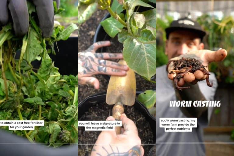 Three screenshots of garden hacks—comfrey roots, copper tools, and worm casting