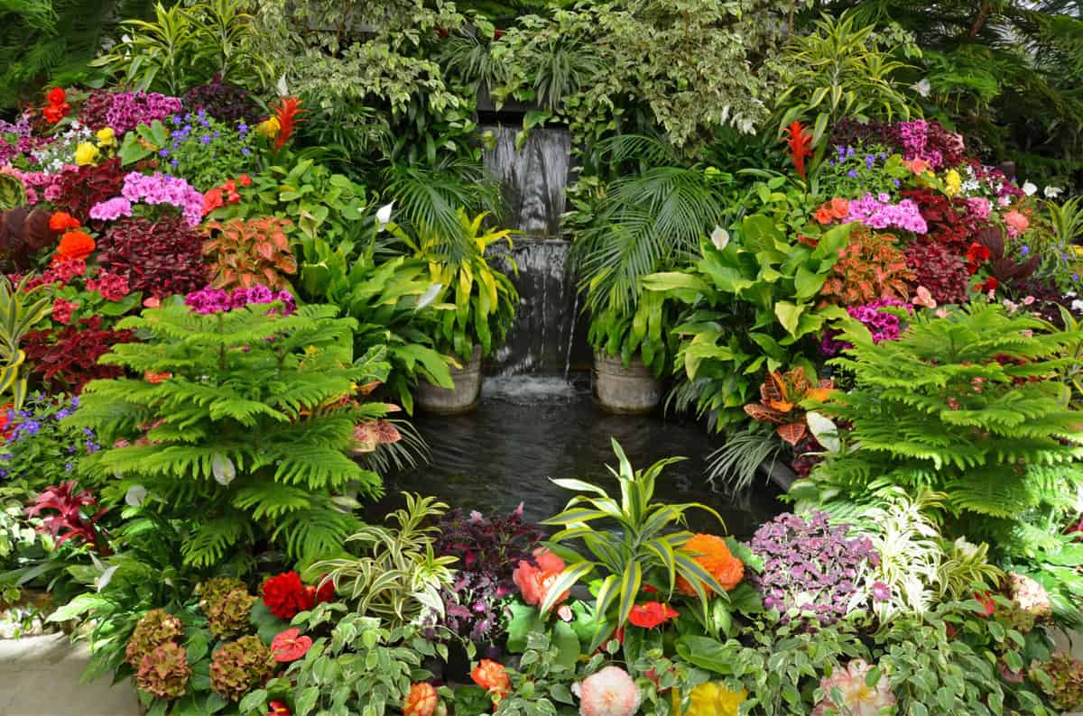 Lush tropical garden with assorted colorful flowers and plants