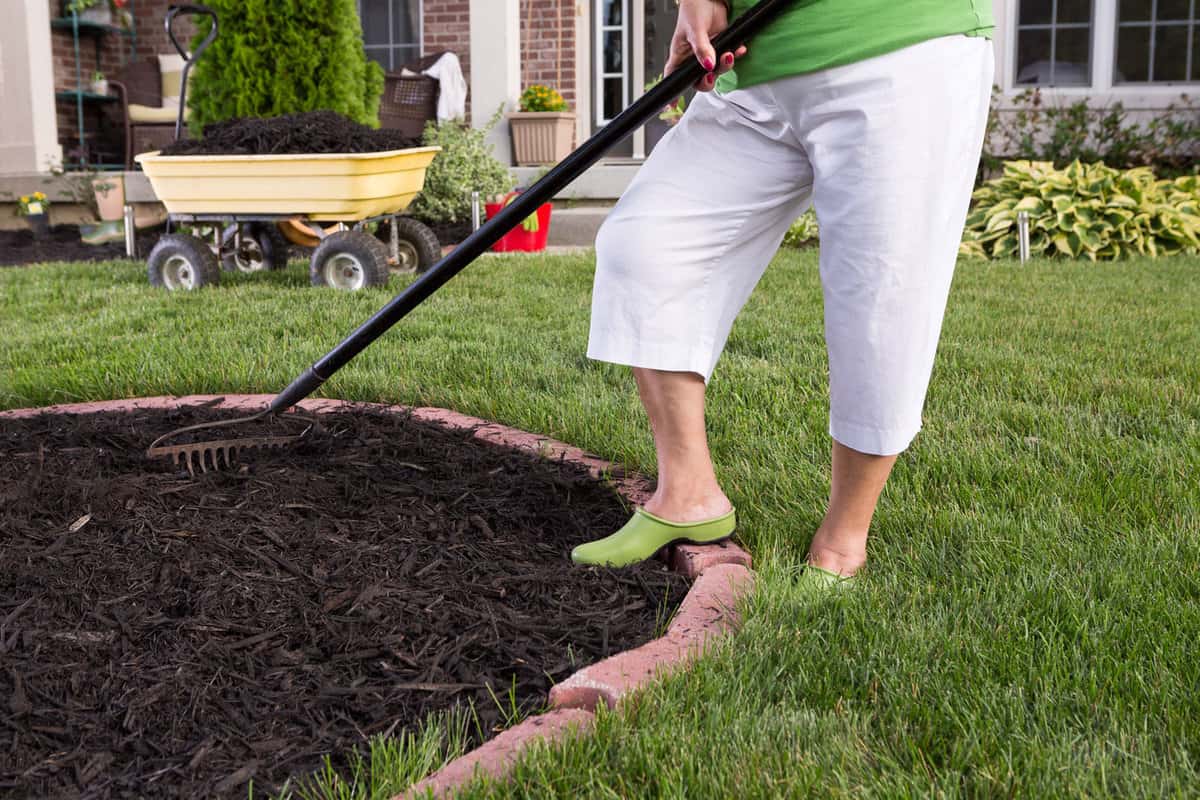 Woman raking soil and mulch for the garden